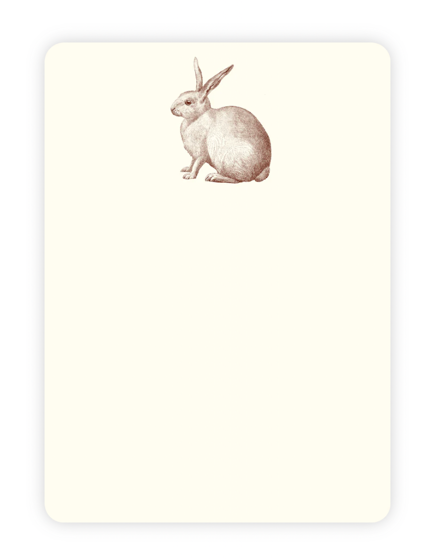 Rabbit A6 Notes