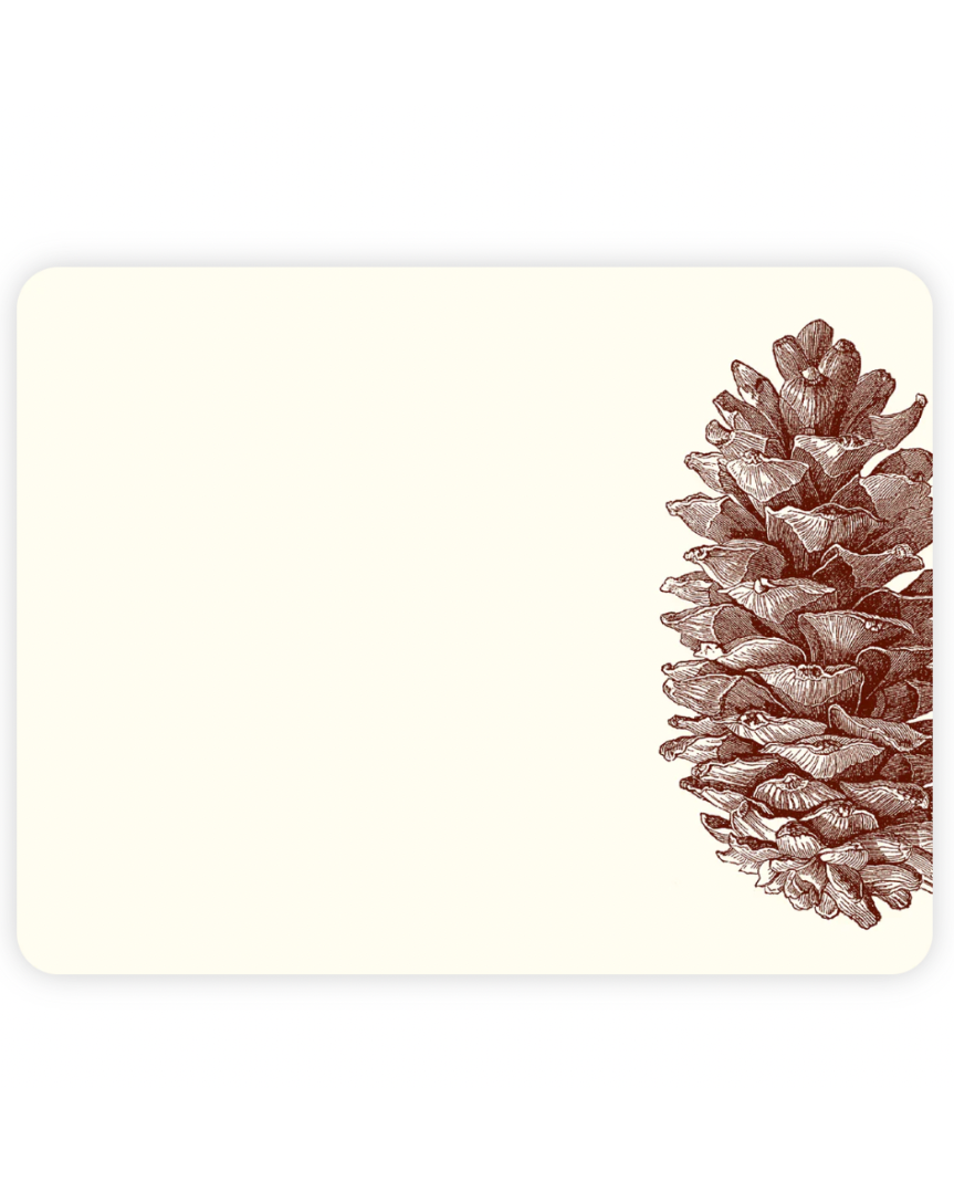 Pinecone A2 Notes