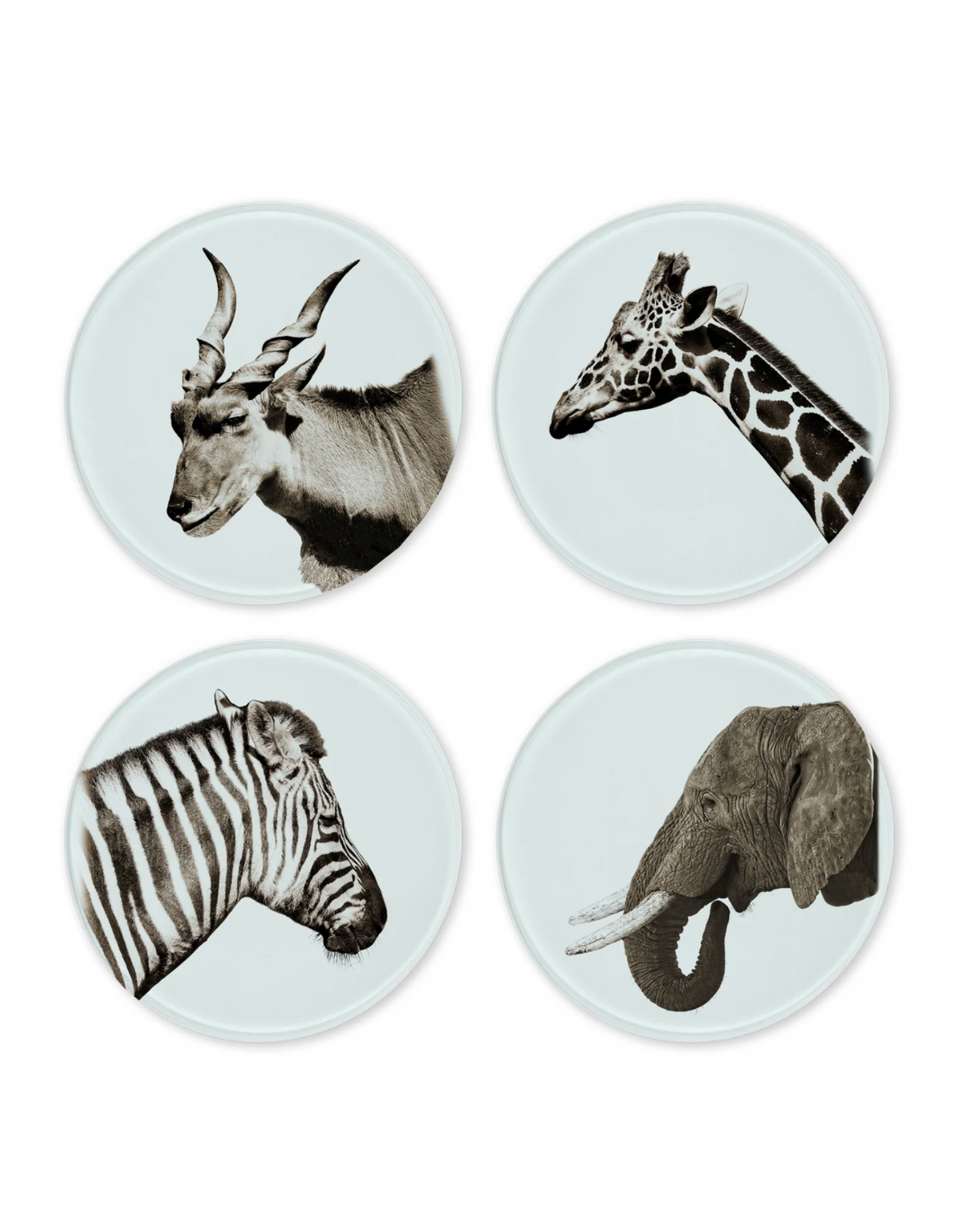 Set of 4 round glass coasters featuring safari animals: kudu, giraffe, zebra, elephant