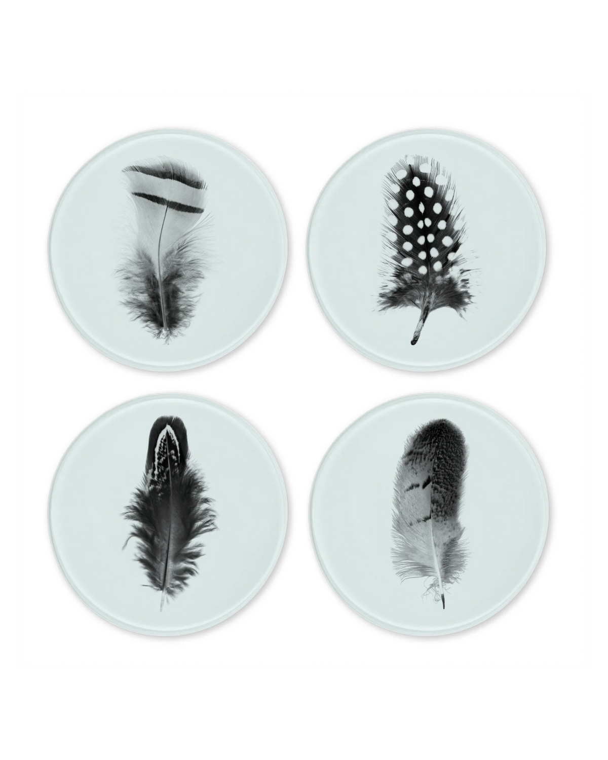 Set of four round glass coasters each featuring a unique black and white feather print