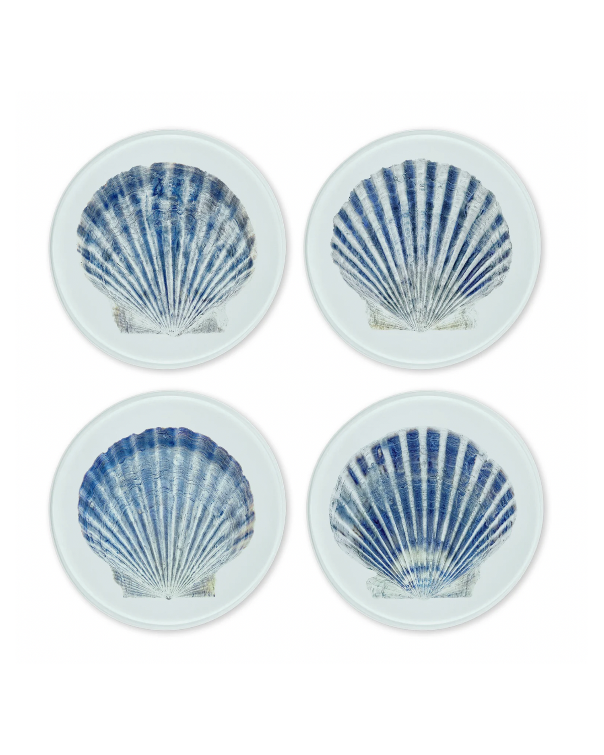 Glass Coaster Set - Scallop