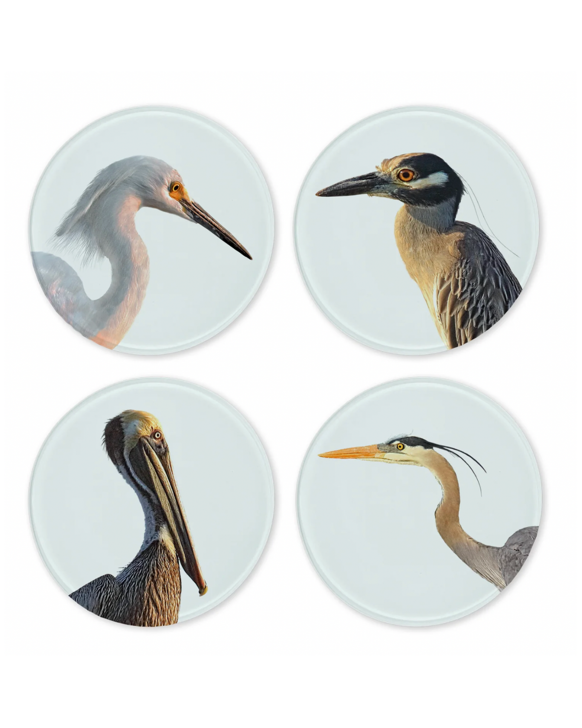 Set of 4 round glass coasters featuring egret, night heron, pelican, and great blue heron portraits