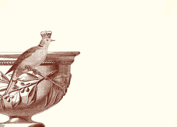Bird Bath (Dove) A6 Notes