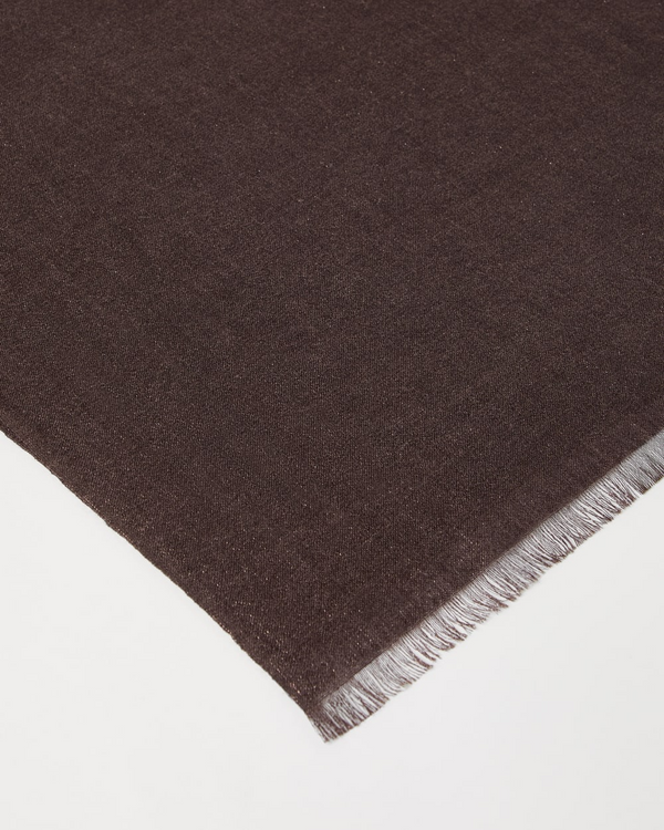 Cashmere and Silk Sparkling Scarf in Brown