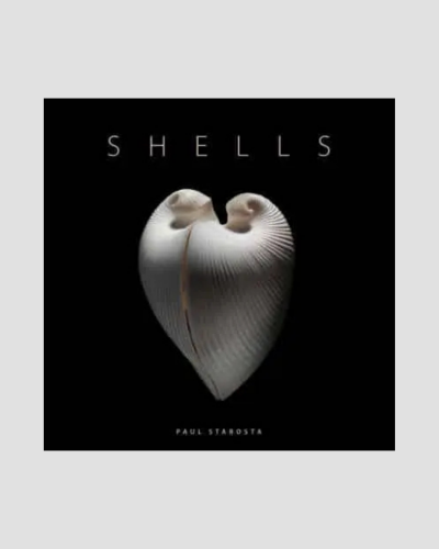 Shells by Paolo Portoghesi
