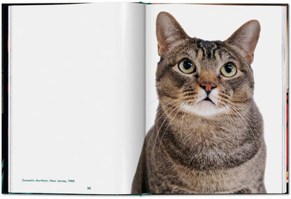 Cats: Photographs 1942-2018 By: Walter Chandoha