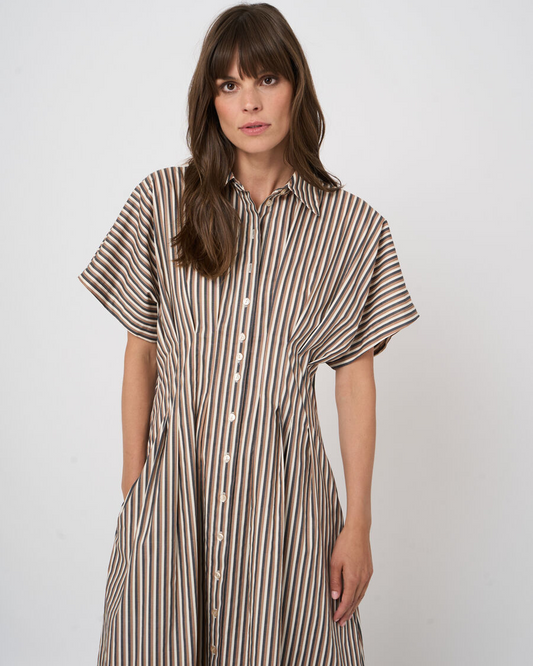 Stripe A-Line Dress in Chestnut