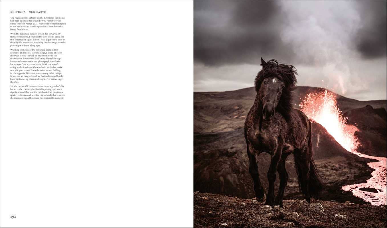 In the Land of Fire and Ice by Guadalupe Laiz: Hardcover; 348 pages / English