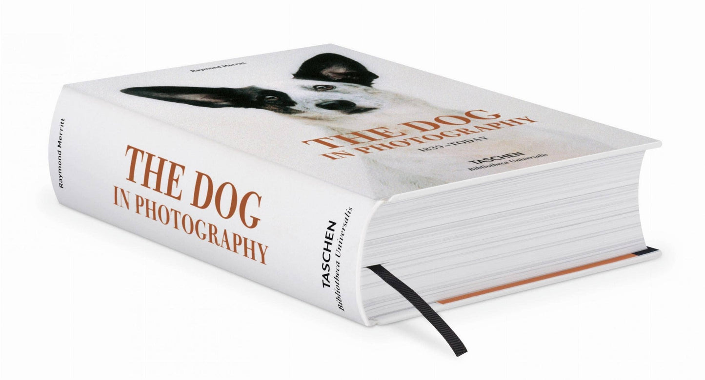 The Dog in Photography