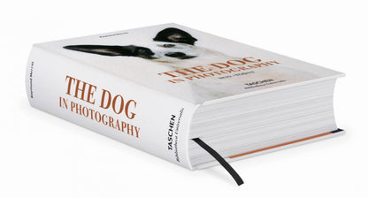 The Dog in Photography