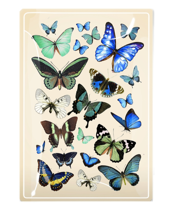 Blue Butterflies 4" x 6" Decoupage Glass Tray