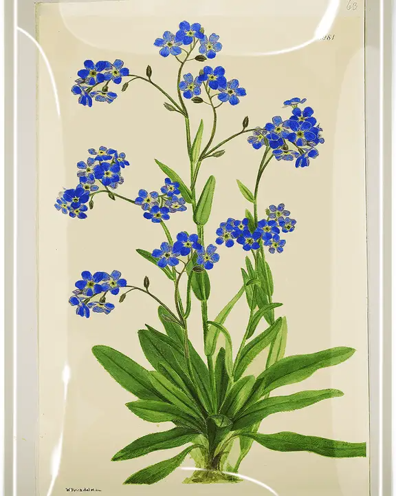 Forget-Me-Not 4" x 6" Decoupage Glass Tray