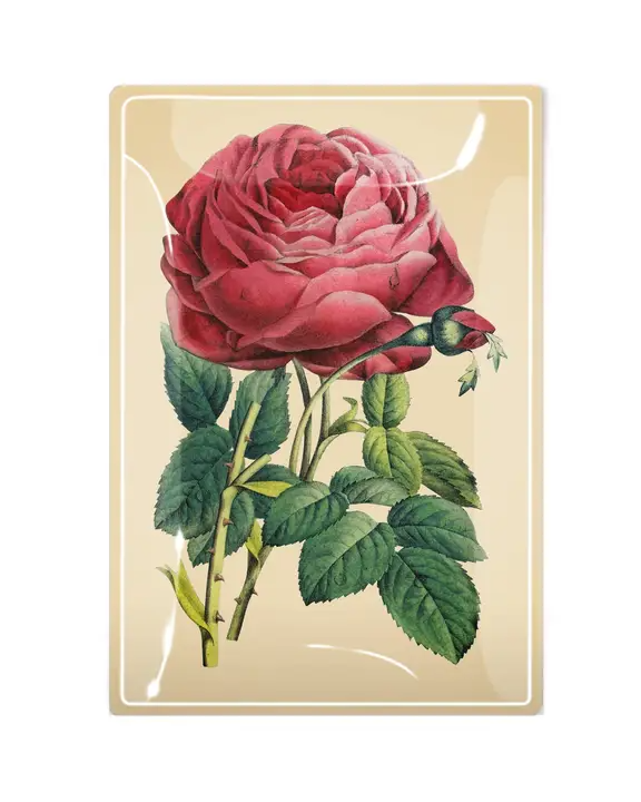 Vintage botanical pink rose decoupage glass tray with cream background, 4x6 inch