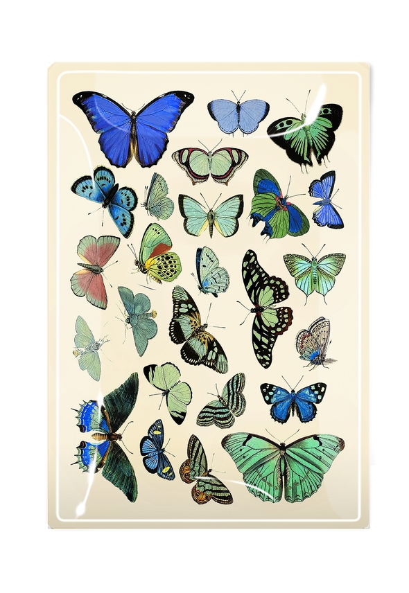 Green and Blue Wildflower Butterflies 4" x 6" Decoupage Glass Tray