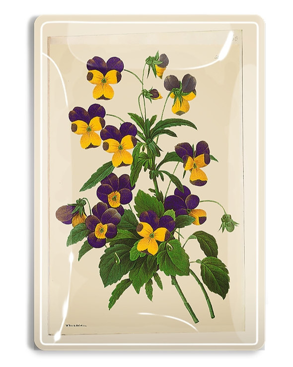 Rectangular glass decoupage tray with purple and yellow pansy floral illustration