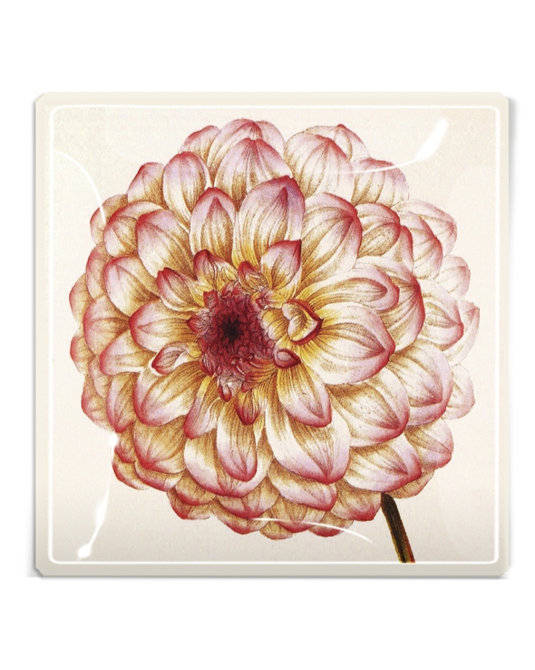 Pink Dahlia 6" x 6" Decoupage Glass Tray