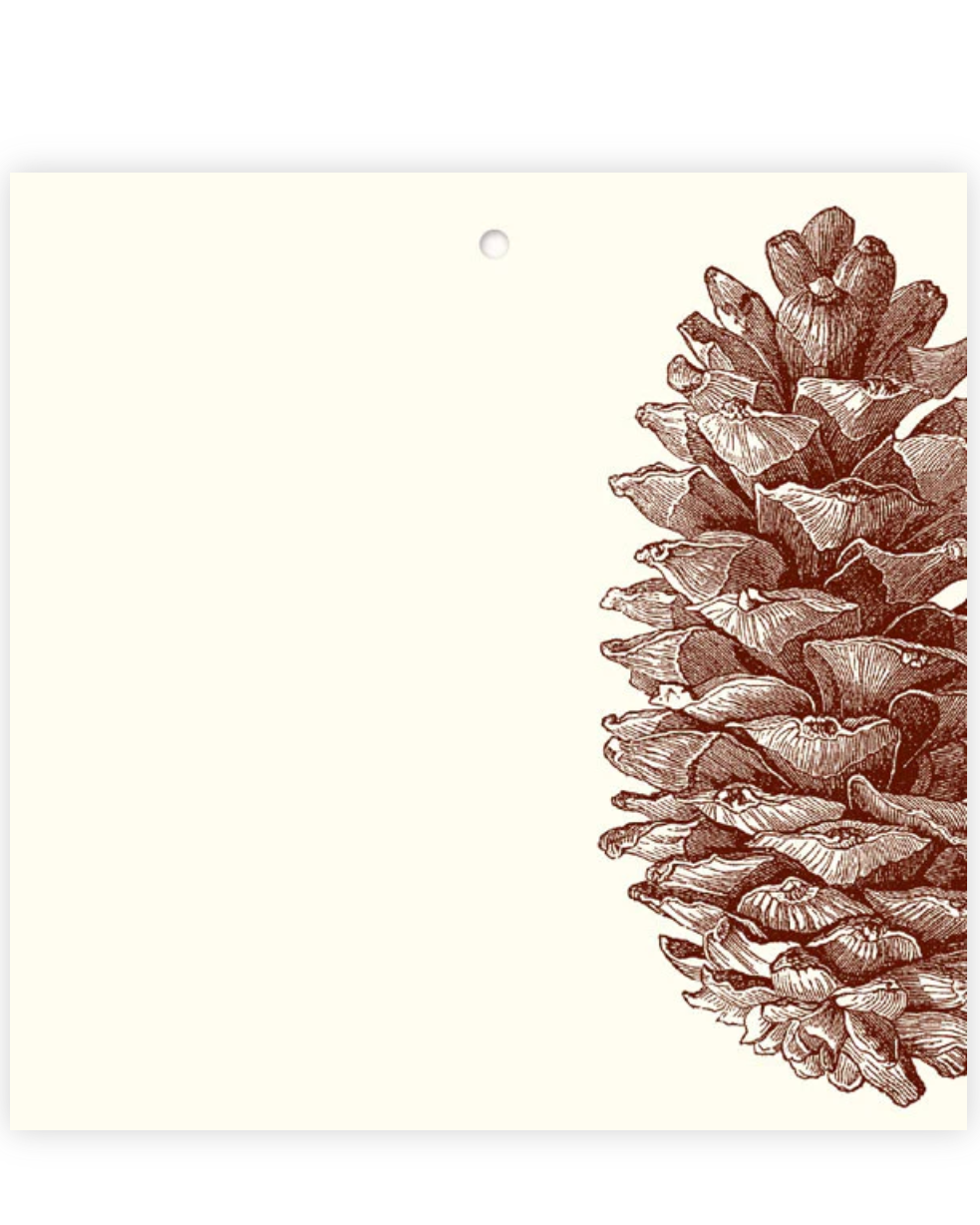 Pinecone Gift Tags