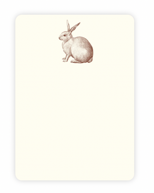 Rabbit A6 Notes