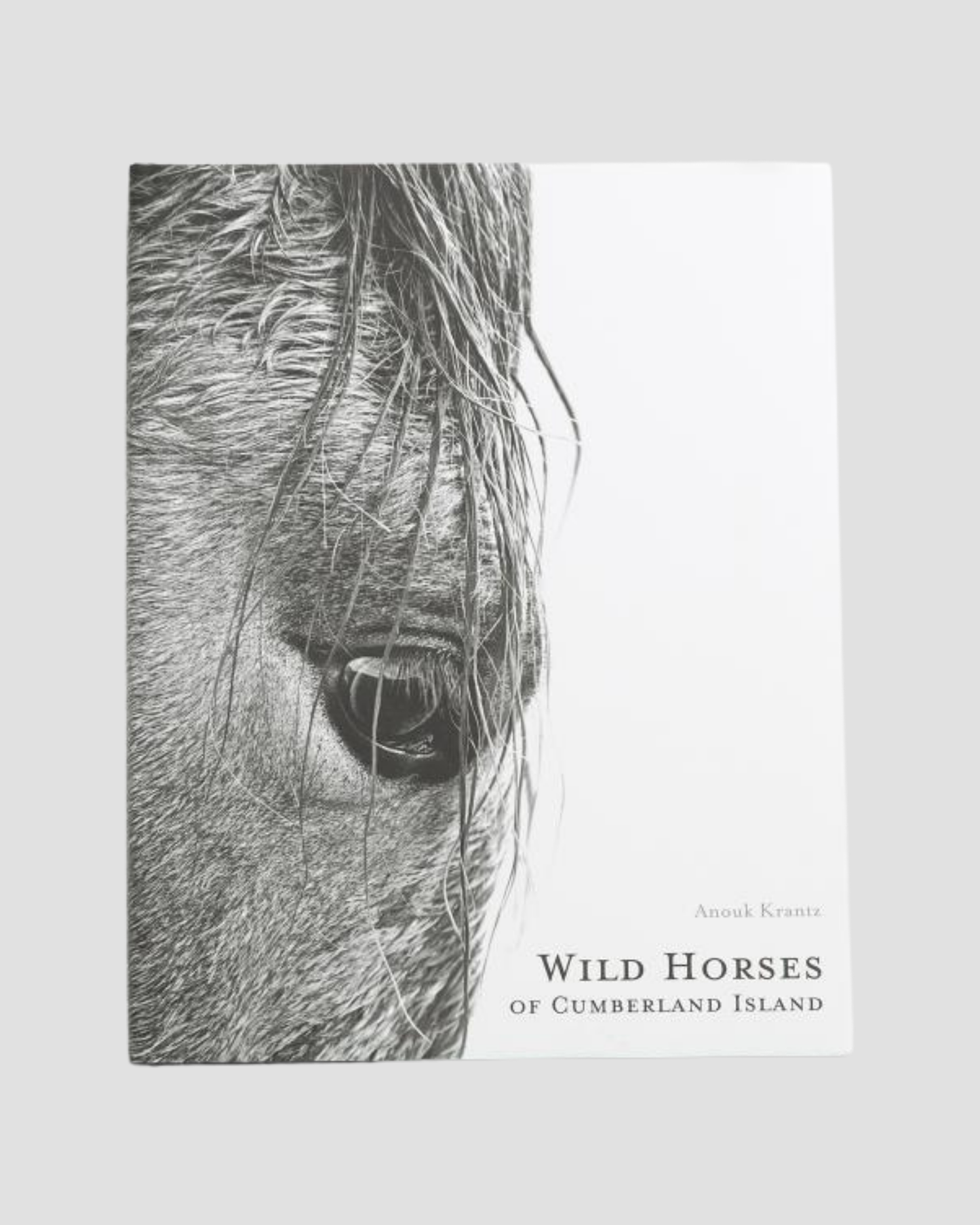 Wild Horses of Cumberland Island by Anouk Masson Krantz: Hardcover