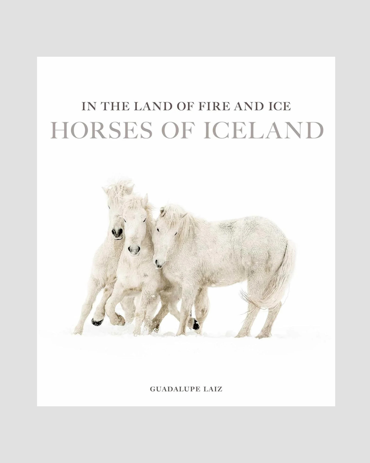 In the Land of Fire and Ice by Guadalupe Laiz: Hardcover; 348 pages / English