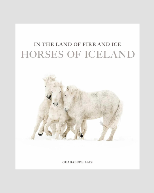 In the Land of Fire and Ice by Guadalupe Laiz: Hardcover; 348 pages / English