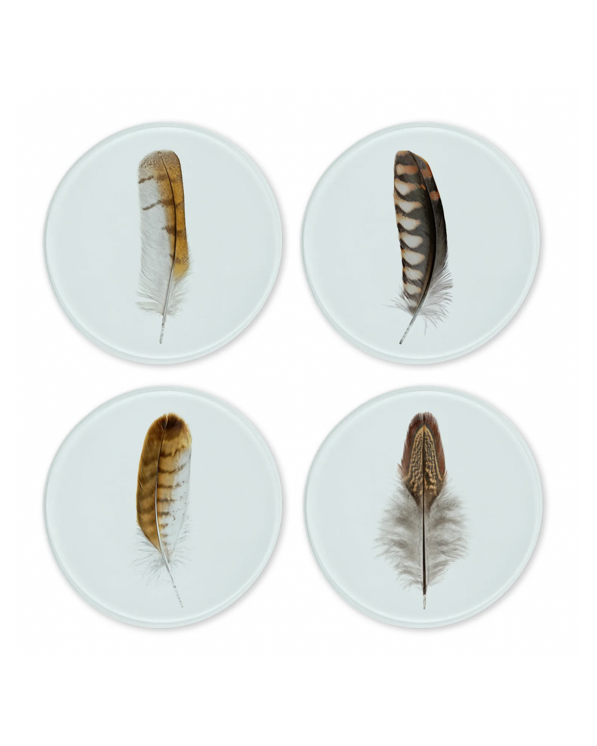 Set of four round glass coasters each printed with a unique patterned bird feather