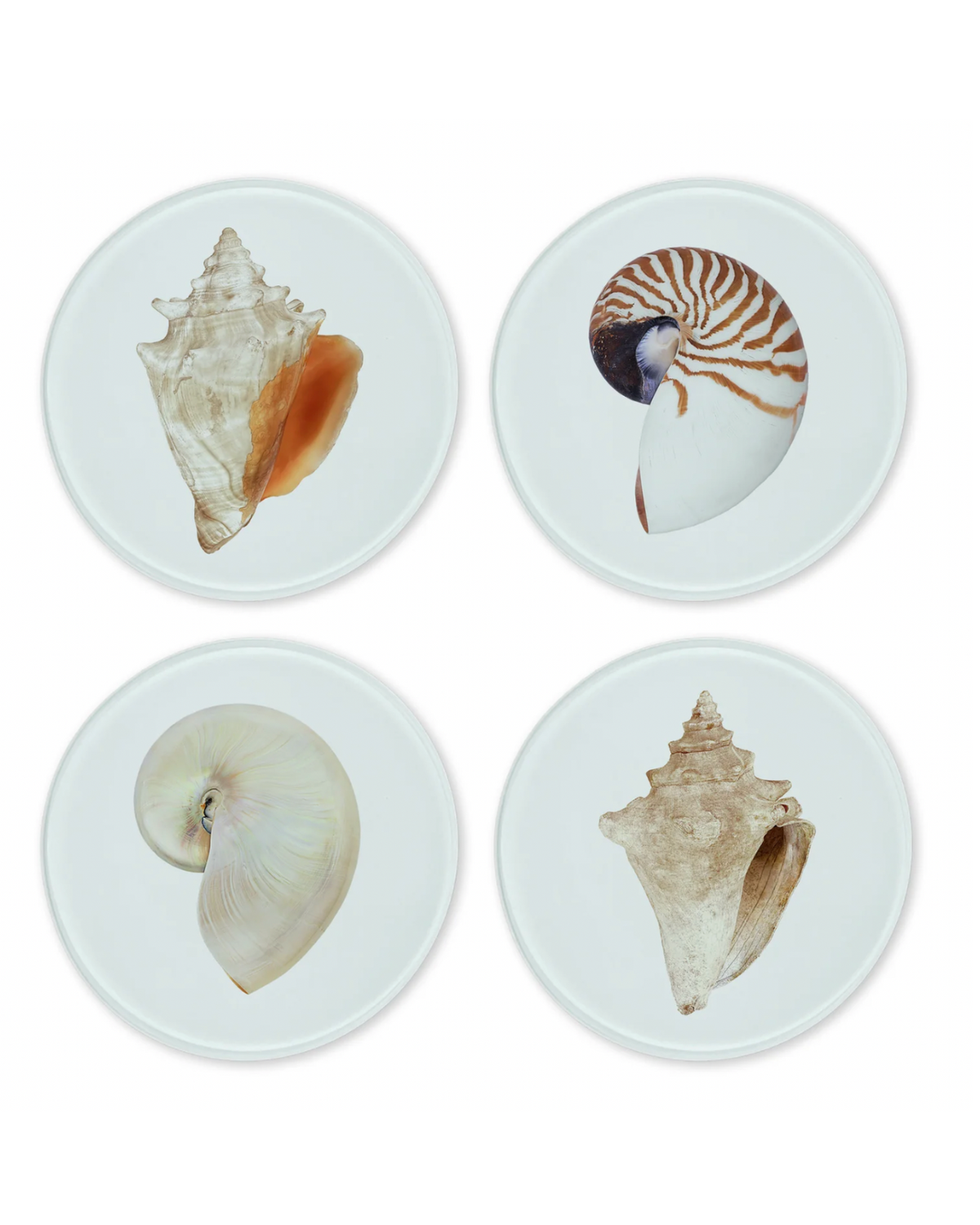 Set of four round glass coasters with nautical seashell photography on pale blue background