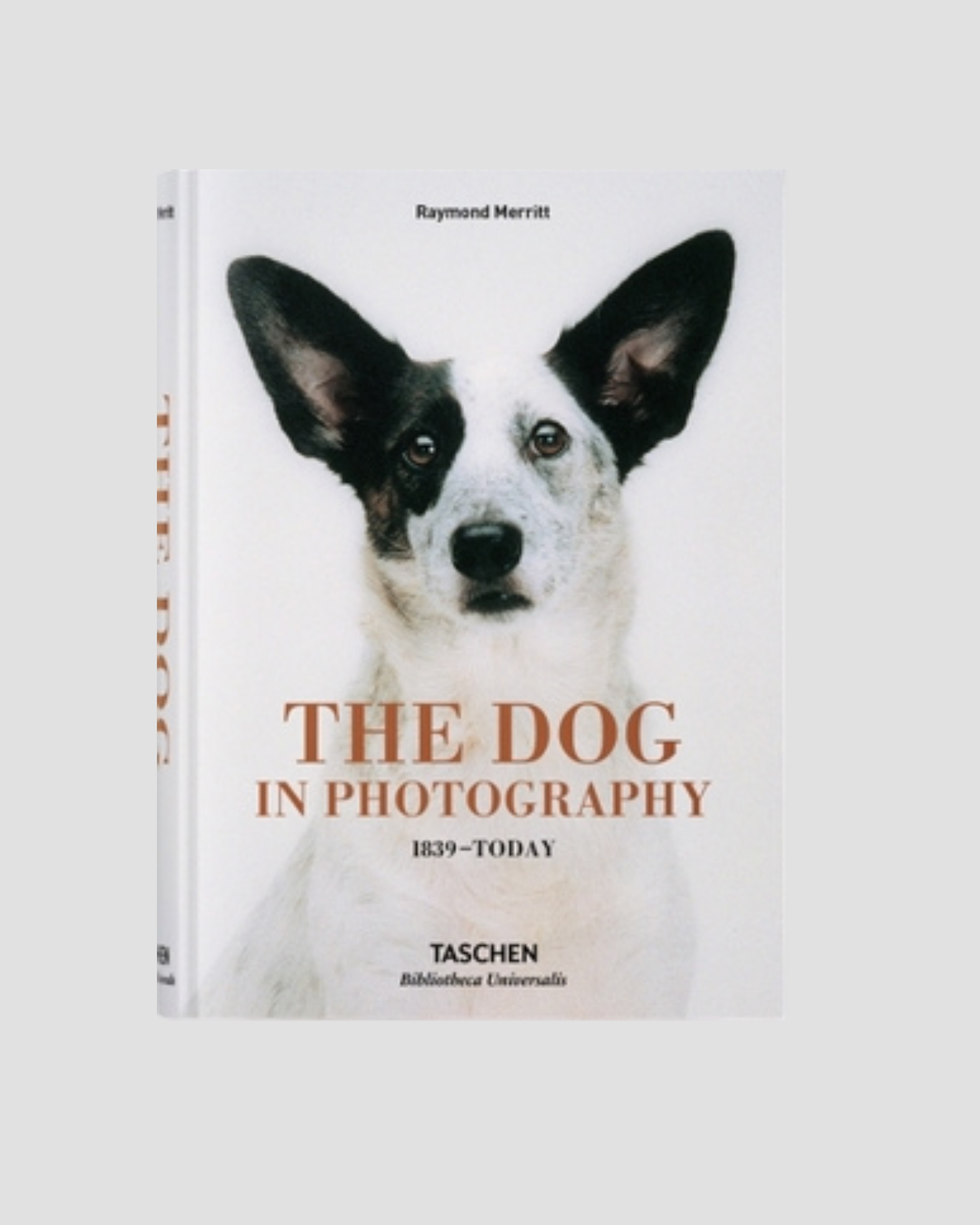 The Dog in Photography