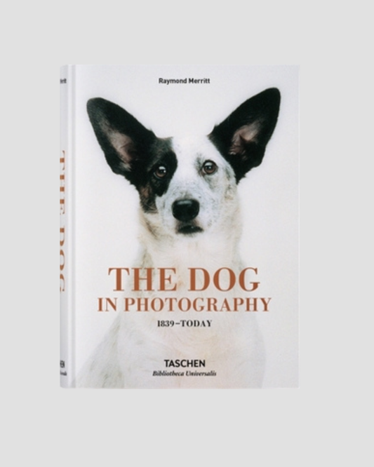 The Dog in Photography