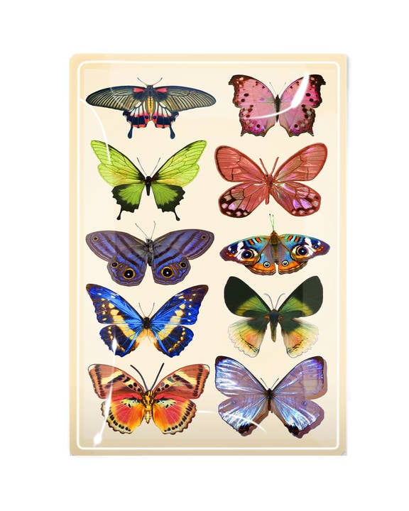 Wild Butterflies 4" x 6" Decoupage Glass Tray