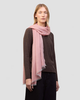 Wispy 70 x 200 Scarf in Ballet Shoe