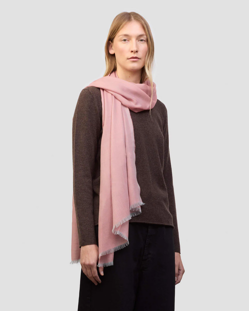 Wispy 70 x 200 Scarf in Ballet Shoe