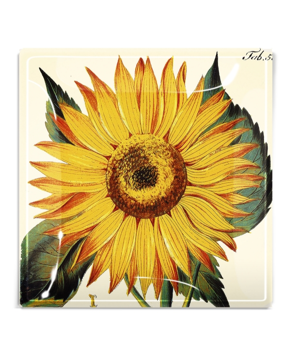 Yellow sunflower botanical illustration on 6x6 inch decoupage glass tray