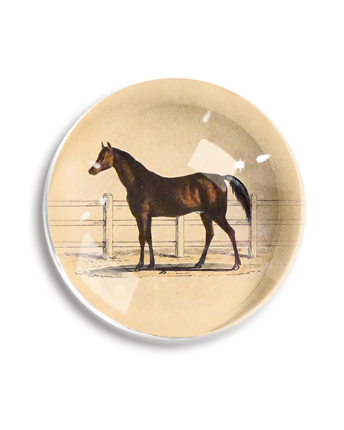 Round crystal dome paperweight with vintage bay horse illustration on cream background