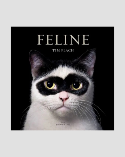 Feline by Tim Flatch